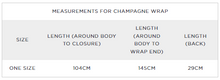 Load image into Gallery viewer, Champagne Wrap in Black

